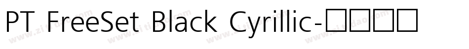 PT FreeSet Black Cyrillic字体转换